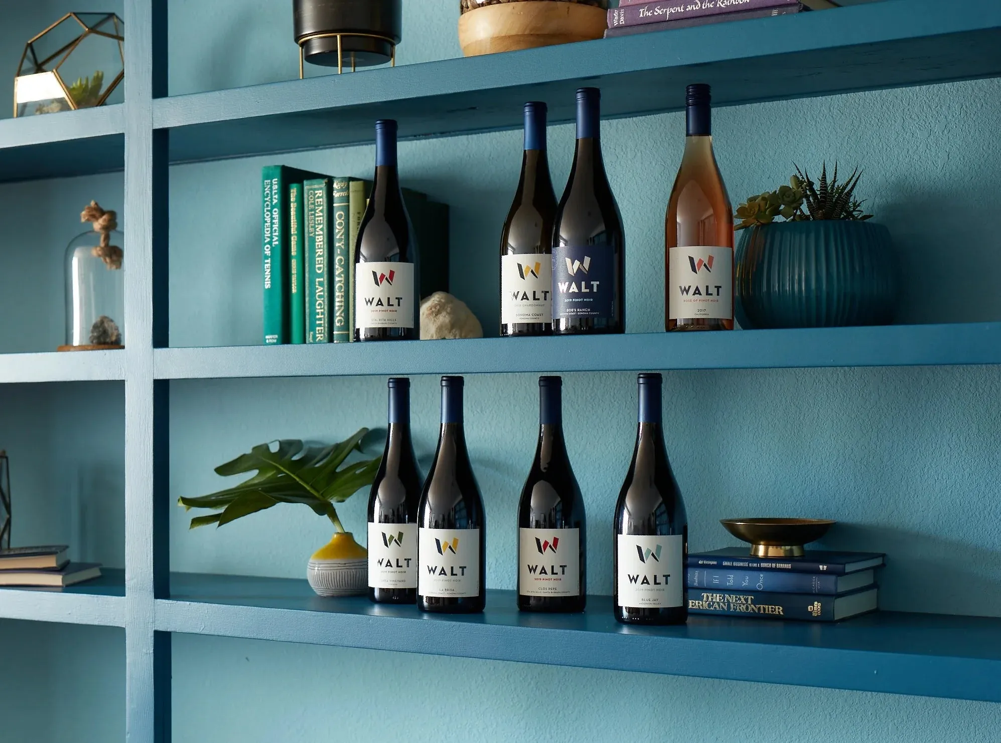 Eight WALT bottles on a blue bookshelf, the W on each label in its own color